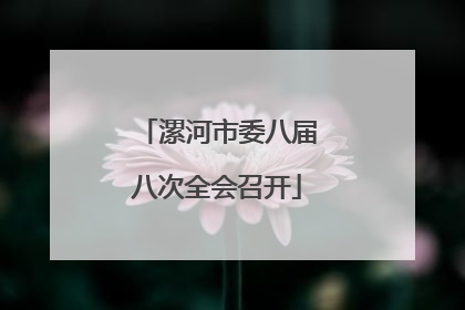 漯河市委八届八次全会召开