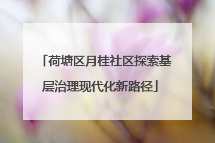 荷塘区月桂社区探索基层治理现代化新路径