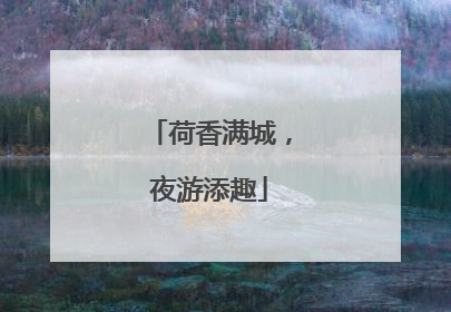 荷香满城，夜游添趣