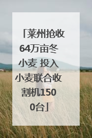 莱州抢收64万亩冬小麦 投入小麦联合收割机1500台
