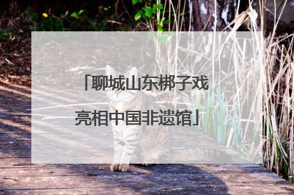 聊城山东梆子戏亮相中国非遗馆