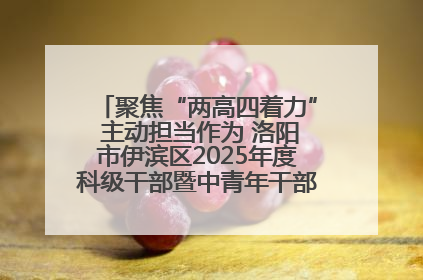 聚焦“两高四着力” 主动担当作为 洛阳市伊滨区2025年度科级干部暨中青年干部培训班开班