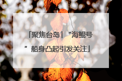 聚焦台岛│“海鲲号”船身凸起引发关注