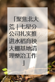 聚焦北大荒｜七星分公司扎实推进水稻育秧大棚基地清理整治工作