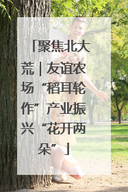 聚焦北大荒｜友谊农场“稻耳轮作”产业振兴“花开两朵”