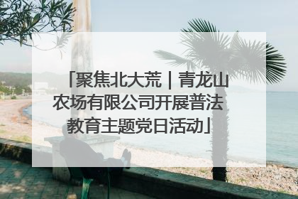 聚焦北大荒｜青龙山农场有限公司开展普法教育主题党日活动