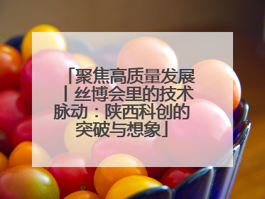 聚焦高质量发展丨丝博会里的技术脉动：陕西科创的突破与想象