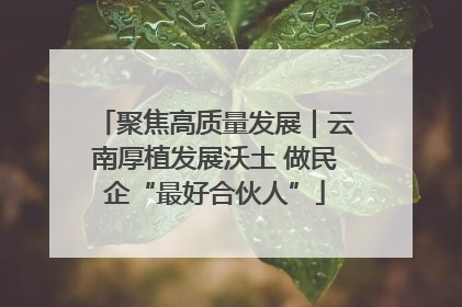 聚焦高质量发展｜云南厚植发展沃土 做民企“最好合伙人”