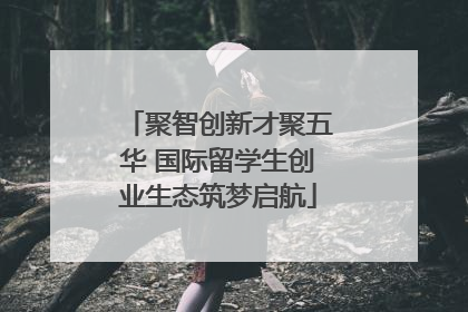 聚智创新才聚五华 国际留学生创业生态筑梦启航
