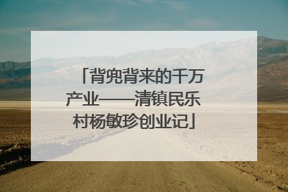 背兜背来的千万产业——清镇民乐村杨敏珍创业记