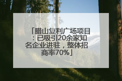 腊山复利广场项目：已吸引20余家知名企业进驻，整体招商率70%