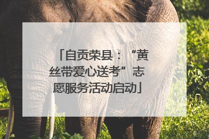 自贡荣县：“黄丝带爱心送考”志愿服务活动启动