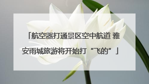 航空器打通景区空中航道 雅安雨城旅游将开始打“飞的”