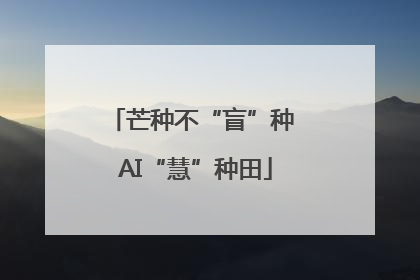 芒种不“盲”种 AI“慧”种田