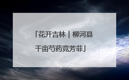 花开吉林｜柳河县千亩芍药竞芳菲