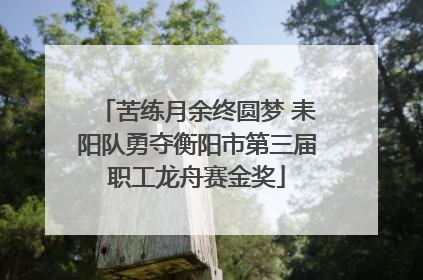 苦练月余终圆梦 耒阳队勇夺衡阳市第三届职工龙舟赛金奖