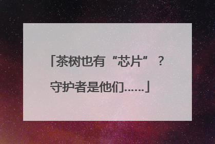 茶树也有“芯片”？守护者是他们……