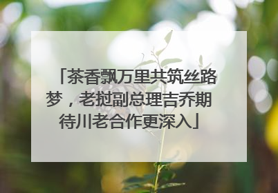 茶香飘万里共筑丝路梦，老挝副总理吉乔期待川老合作更深入