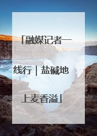 融媒记者一线行｜盐碱地上麦香溢