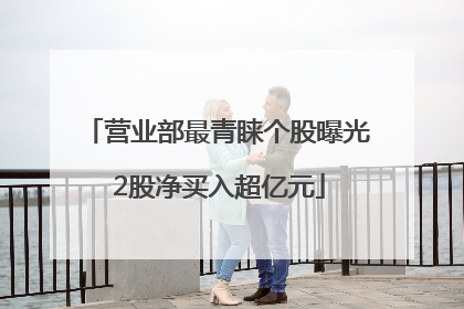 营业部最青睐个股曝光 2股净买入超亿元