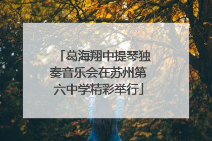 葛海翔中提琴独奏音乐会在苏州第六中学精彩举行