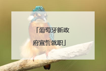 葡萄牙新政府宣誓就职