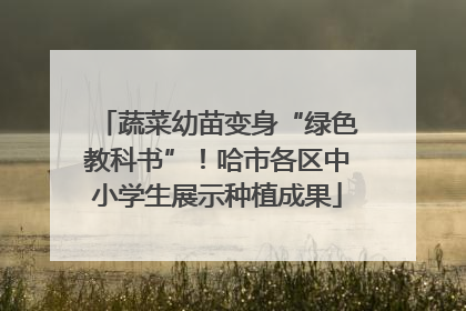 蔬菜幼苗变身“绿色教科书”！哈市各区中小学生展示种植成果
