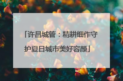 许昌城管：精耕细作守护夏日城市美好容颜