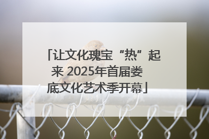 让文化瑰宝“热”起来 2025年首届娄底文化艺术季开幕