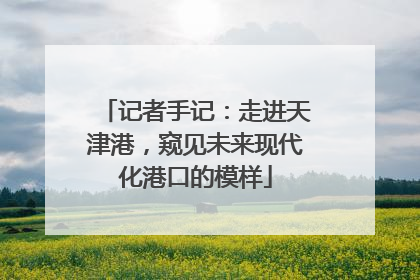 记者手记：走进天津港，窥见未来现代化港口的模样