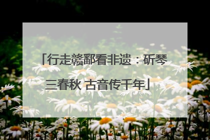 行走赣鄱看非遗：斫琴三春秋 古音传千年