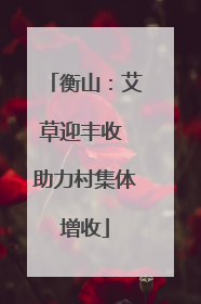 衡山：艾草迎丰收 助力村集体增收