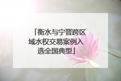 衡水与宁晋跨区域水权交易案例入选全国典型