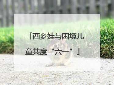 西乡娃与困境儿童共度“六一”