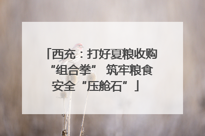 西充：打好夏粮收购“组合拳” 筑牢粮食安全“压舱石”