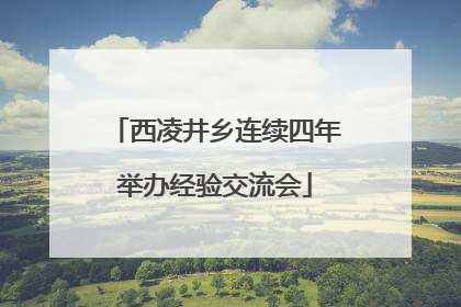 西凌井乡连续四年举办经验交流会