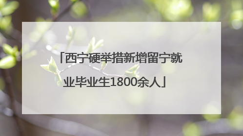 西宁硬举措新增留宁就业毕业生1800余人