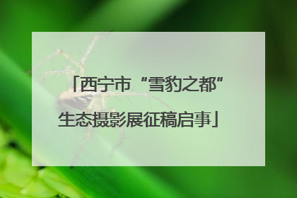 西宁市“雪豹之都”生态摄影展征稿启事