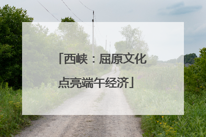 西峡：屈原文化点亮端午经济