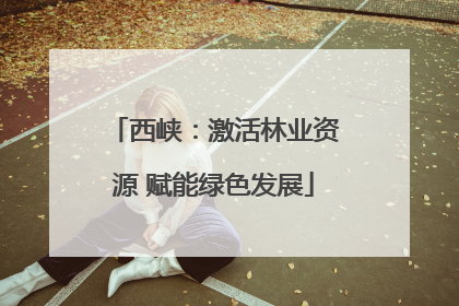 西峡：激活林业资源 赋能绿色发展