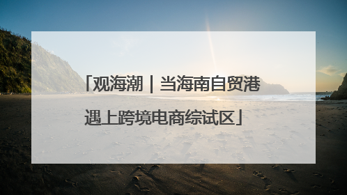 观海潮｜当海南自贸港遇上跨境电商综试区