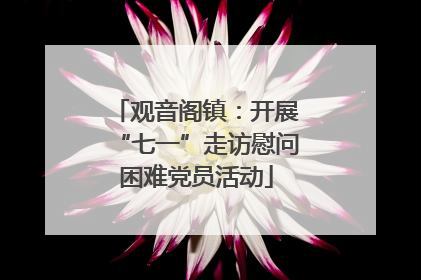 观音阁镇：开展“七一”走访慰问困难党员活动