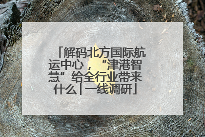 解码北方国际航运中心，“津港智慧”给全行业带来什么│一线调研