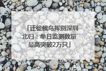 迁徙候鸟挥别深圳北归：单日监测数量最高突破2万只
