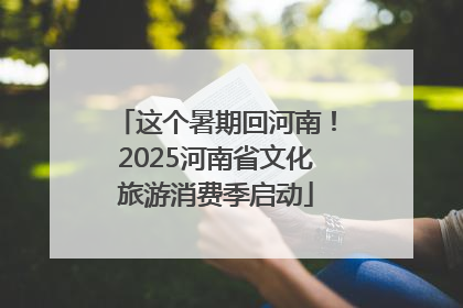 这个暑期回河南！2025河南省文化旅游消费季启动