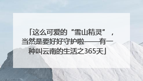 这么可爱的“雪山精灵”，当然是要好好守护啦——有一种叫云南的生活之365天