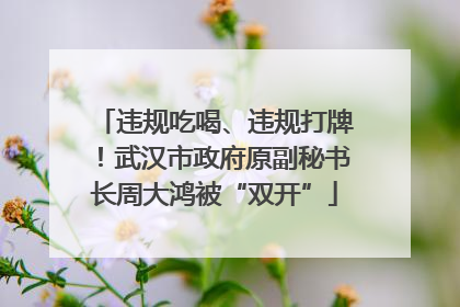 违规吃喝、违规打牌！武汉市政府原副秘书长周大鸿被“双开”
