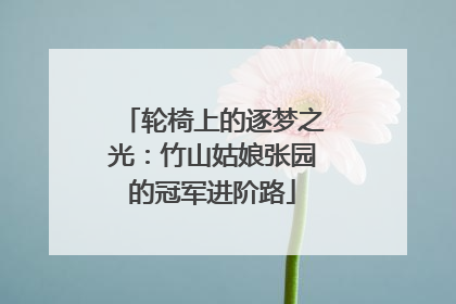 轮椅上的逐梦之光：竹山姑娘张园的冠军进阶路