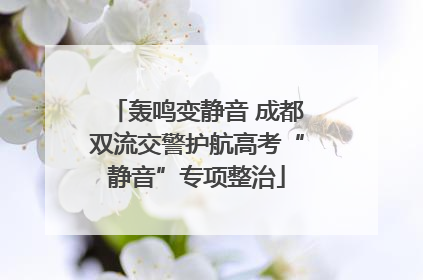 轰鸣变静音 成都双流交警护航高考“静音”专项整治
