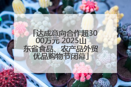 达成意向合作超3000万元 2025山东省食品、农产品外贸优品购物节闭幕
